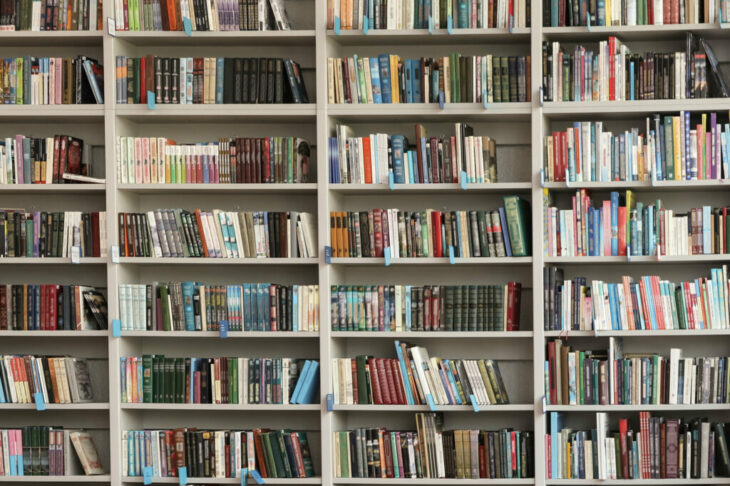 View of shelves with books in library View of shelves with books in library